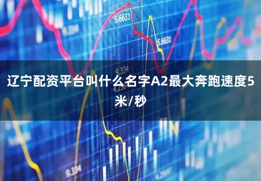 辽宁配资平台叫什么名字A2最大奔跑速度5米/秒