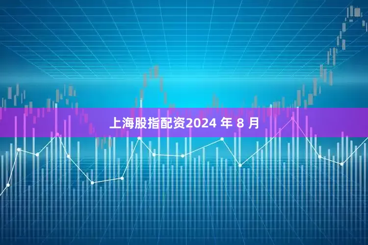 上海股指配资2024 年 8 月